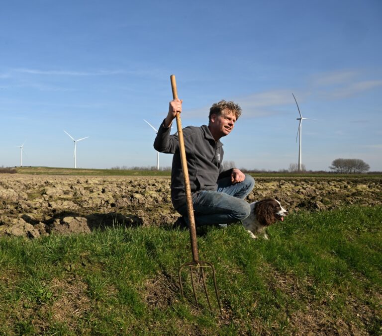 Ecologie Windkoepel Groen